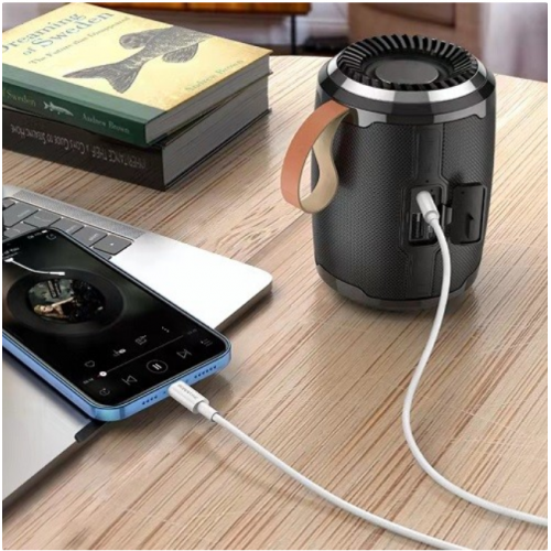 Lightning to 3.5 AUX Audio Adapter Cable